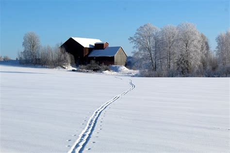 The Four Giant Canvases of Hill House | House on a hill, Grand homes, Unsplash