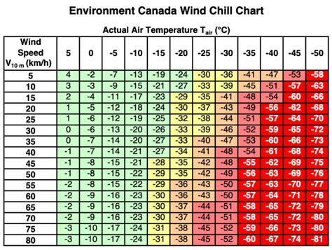 What is Wind Chill? Tips for Staying Warm