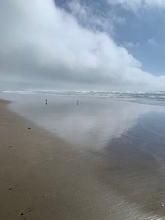 Nehalem Bay State Park - 2020 All You Need to Know BEFORE You Go (with ...