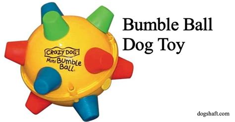 The Playtime Revolution: Bumble Ball Dog Toy - What You Need to Know! - Dog Shaft