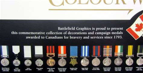 CANADIAN MILITARY MEDAL DISPLAY