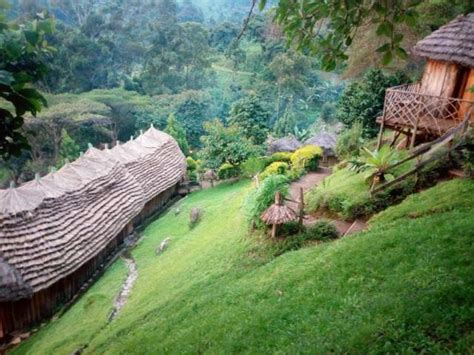 Lacam Lodge>Sipi falls lodge accommodation uganda | Uganda & Rwanda; Safaris, Tours, Car Hire ...