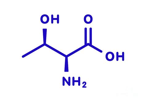 Threonine Amino Acid Molecule Photograph by Molekuul/science Photo Library - Fine Art America