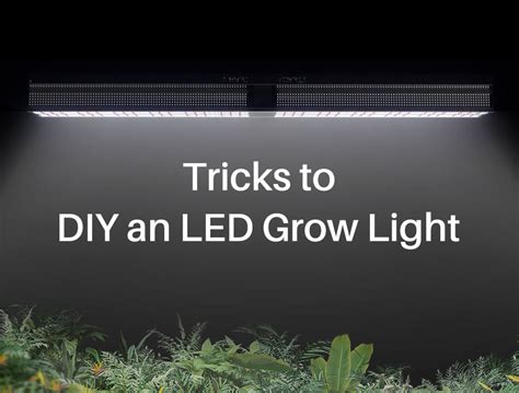 Things You Don't Know When DIY LED Grow Lights