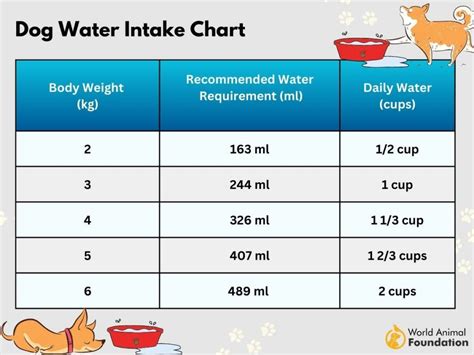 Dog Water Intake Calculator For Healthy Hydration For Pups