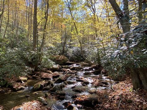 11 Top Hiking Trails near Boone NC