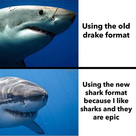 Sharks are happy now : r/dankmemes