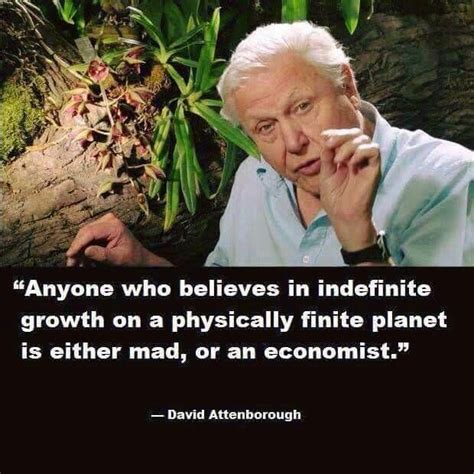 Pin by Georgina Staples on Quotes | David attenborough, Words, Environment