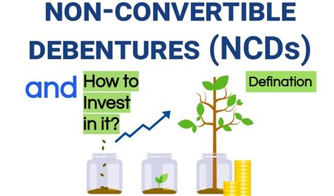 What is Non Convertible Debenture (NCD)