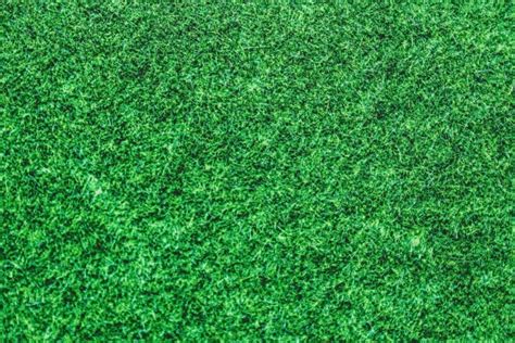 Green Grass Background Texture Free Stock Photo - Public Domain Pictures