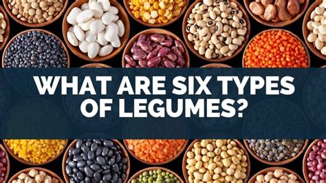 What Are Six Types Of Legumes? [Classification & Variety LIST]