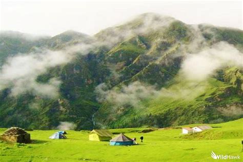 Dyara Bugyal Trekking, Snow Trek to Dyara Bugyal By WildHawk