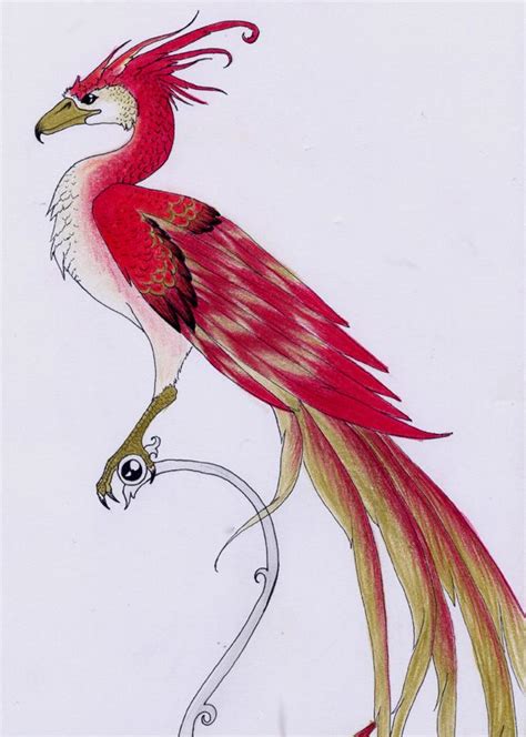 Fawkes the phoenix | Hogwarts | Pinterest