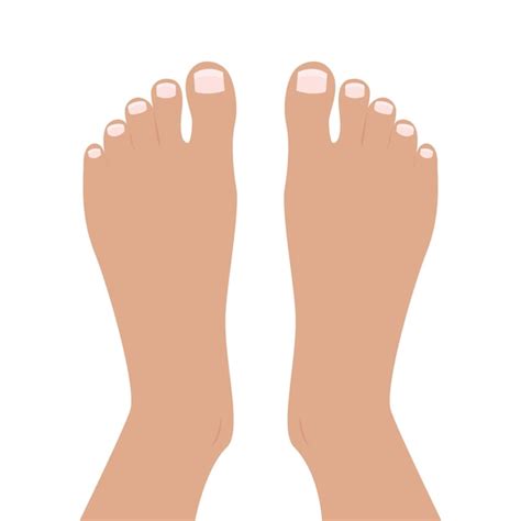 Premium Vector | Top of feet foot vector illustration graphic cartoon