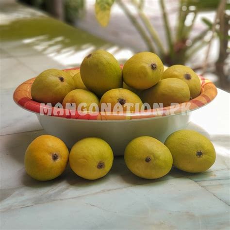 Buy Online Ratol Mango انور رٹول Export Plus (Best)