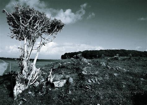 Stackpole - Pembrokeshire | Landscape photography, Landscape, Outdoor