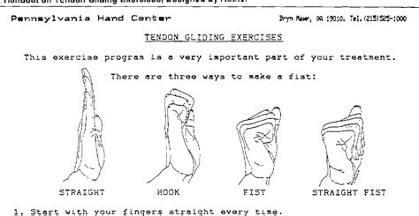 Tendon Gliding Exercises Handout – Online degrees