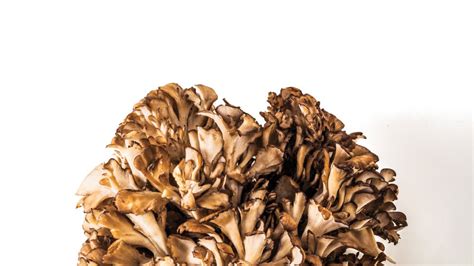 6 Ways to Cook Maitake Mushrooms Recipe | Bon Appétit