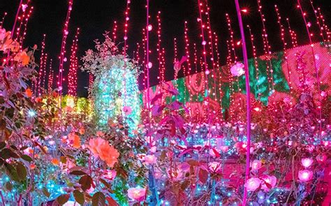 5 million LEDs make Ashikaga Flower Park a show-stopper | The Asahi Shimbun: Breaking News ...