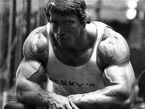 Arnold Schwarzenegger Bodybuilding Wallpaper Hd