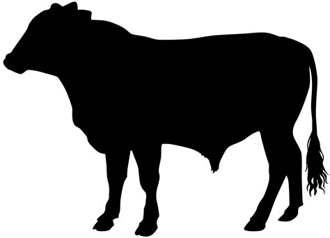 Steer Silhouette | Free vector silhouettes