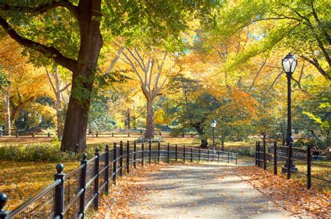 Central Park History and Landscape Tour | Bowery Boys NYC Walking Tours