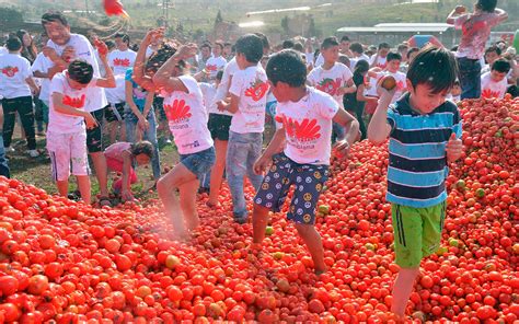 Juicy Photos from Bogotá's Tomato Throwing Festival