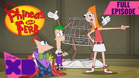 Top 113 + Phineas and ferb cartoon - Delhiteluguacademy.com