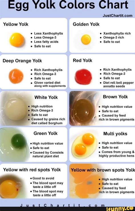 Egg Yolk Colors Chart Yellow Yolk Golden Yolk Less Xanthophylls Xanthophylls rich Less Omega-3 ...