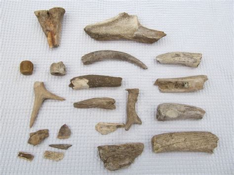 20 bone and antler Neolithic / Ice Age artifacts (20) - Catawiki