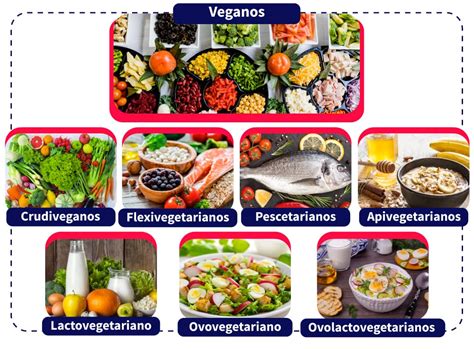 Aprende cómo planear una dieta vegana | Aprende Institute