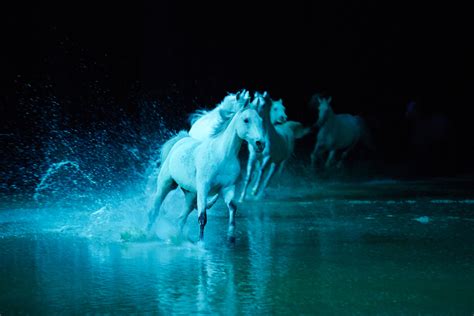 Cavalia Odysseo — A Magical & Enchanting Night Out in Mississauga | A Certain Romance