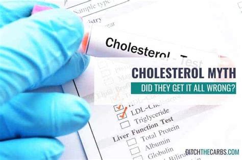 The Cholesterol Myth - how did they get it so wrong?