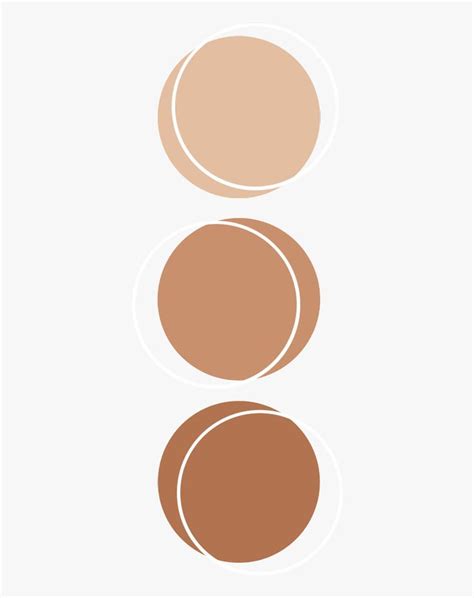 #color #brown #palette #anatomy #aesthetic #kpop - Aesthetic Color Palette Circle, HD Png ...