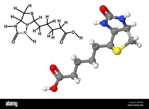 Vitamin B7 (Biotin, vitamin H, coenzyme R) molecule with chemical formula isolated on white ...