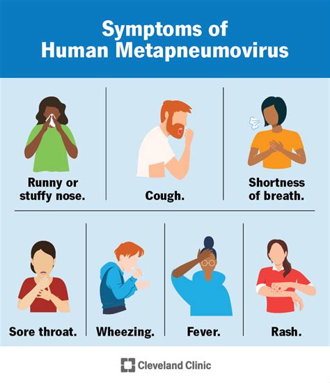 Human Metapneumovirus (HMPV): Symptoms & Treatment