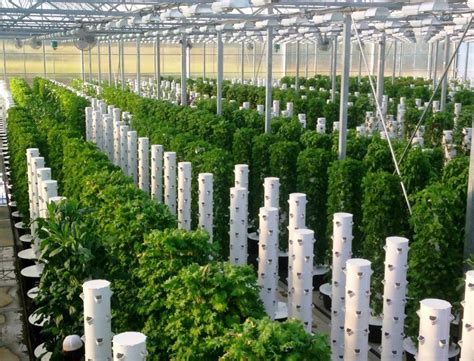 Agriculture aeroponics system tower garden for greenhouse - Buy Product ...