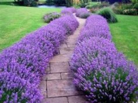 Incredible Flower Beds Ideas To Make Your Home Front Yard Awesome 320 ...
