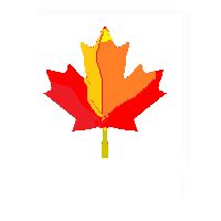 Meaning of 🍁 Maple Leaf Emoji in 26 Languages