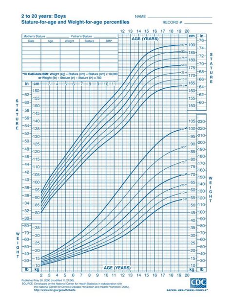 Baby Growth Chart Boy | Template Business