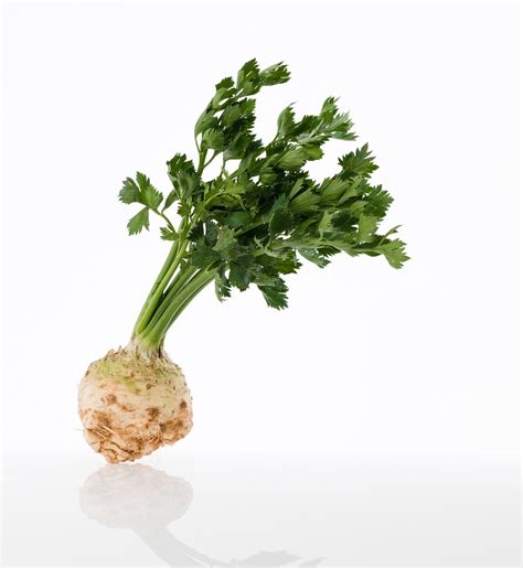 Celery Root - Healthier Steps