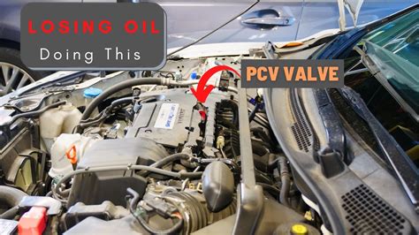 Honda Accord Pcv Valve