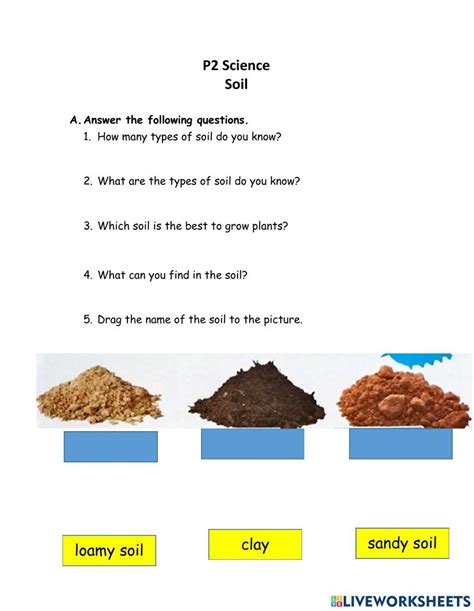 Soil | PDST - Worksheets Library