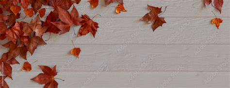 Thanksgiving Wallpaper with Fall leaves on White wood Surface. Stock Illustration | Adobe Stock