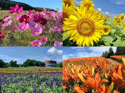 6 Most Beautiful Flower Parks to Visit in Eastern Hokkaido — My Eastern Hokkaido