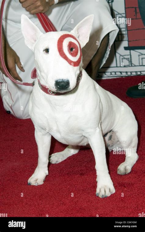 Bullseye the Target dog Party to celebrate the launch of the new Target ...