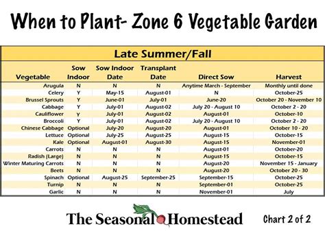 When to Plant Vegetables in Zone 6 – The Seasonal Homestead in 2022 ...