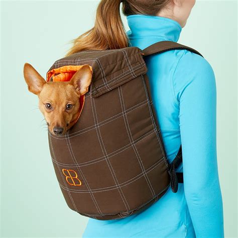 Petego Lenis Backpack Pet Carrier, Large - Chewy.com