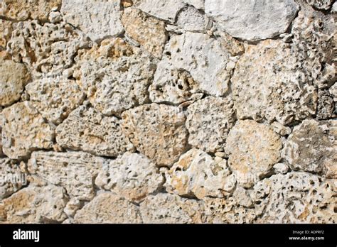 Florida, coral rock wall, oolite Stock Photo - Alamy