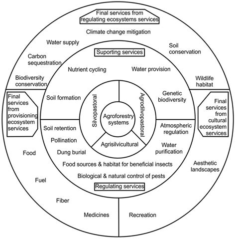 Agroforestry Systems » AgLED